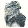 Profilbild von Mahto