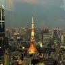 moonlight_in_tokyo's profile picture
