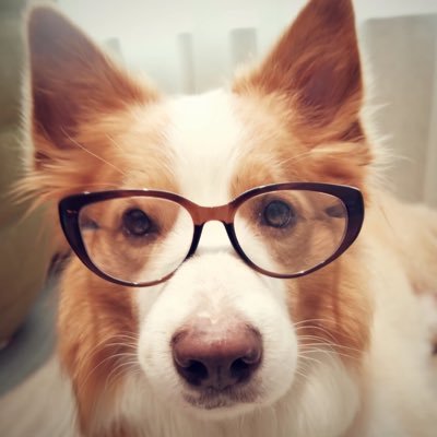 hx_jd821051's profile picture