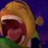 tikuy's profile picture