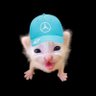 123FX QP Aniss's profile picture