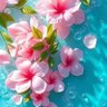 ملك الاناقه 的头像