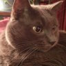 TimeSlipN's profile picture