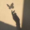 moku's profile picture