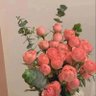 椰祎椰 的头像