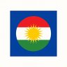 Based kurd 的头像