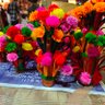 Parwez khan base.eth (✱,✱)'s profile picture