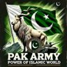 Malik Nasrullah toor's profile picture