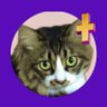 茶々丸Ⓜ︎'s profile picture