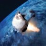 Meowz's profile picture