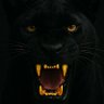 Profilbild von Memnon