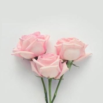 أدعيه وقرآن 🌿..'s profile picture