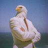 Hotchlife's profile picture