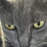 Sambeaux348 profil fotoğrafı