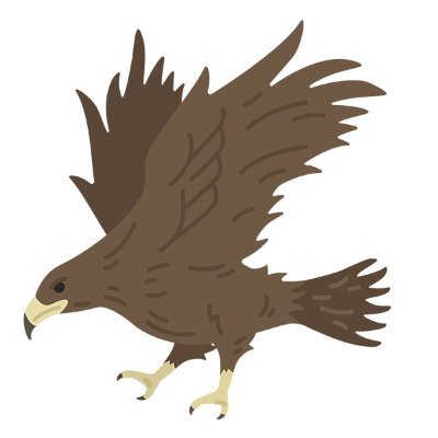 鷹ホーク's profile picture