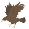 鷹ホーク's profile picture