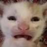 S 🎀 profil fotoğrafı