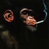 Profilbild von gorker