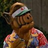Salty ALF 的头像
