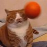Venlix's profile picture