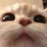 Mar profil fotoğrafı