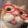 Profilbild von star