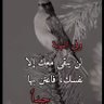 رجاء/أم أحمد/ماجستير علوم سياسية's profile picture