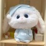 Profilbild von Bunny 🐰 🤍🧸✨