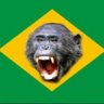 Profilbild von Kanon Bananeiro⚜️