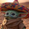 Фото профиля lil jedi