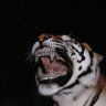 FEEL's profile picture