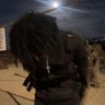 Niko!'s profile picture