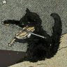 Nyxie (Byler's version 💙💛)'s profile picture