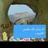 ابو الليل's profile picture