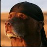 Profilbild von MSG.KING
