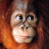 なお profil fotoğrafı