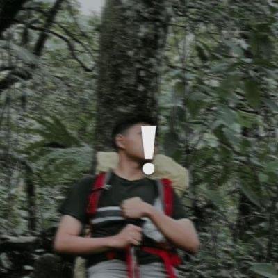 jip's profile picture