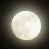 🌙💫銀の月 profil fotoğrafı