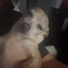 Profilbild von Jay36091