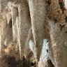 Фото профиля CommonSense?