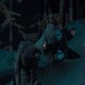 Фото профиля Cuckleberry Finn