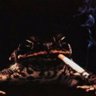 Фото профиля Drunk Froggy