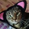 Niña roseada.'s profile picture