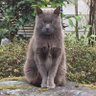 Profilbild von Bruce Matsuda