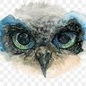 Profilbild von gexmexe45