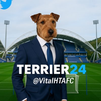 VitalHTAFC's profile picture