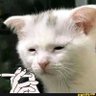 Profilbild von The Good Guys