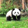 李孝存's profile picture