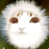 banananutter's profile picture
