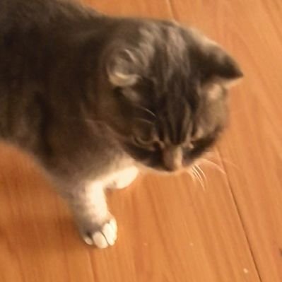 ewJXwBVJsHpAw8y's profile picture